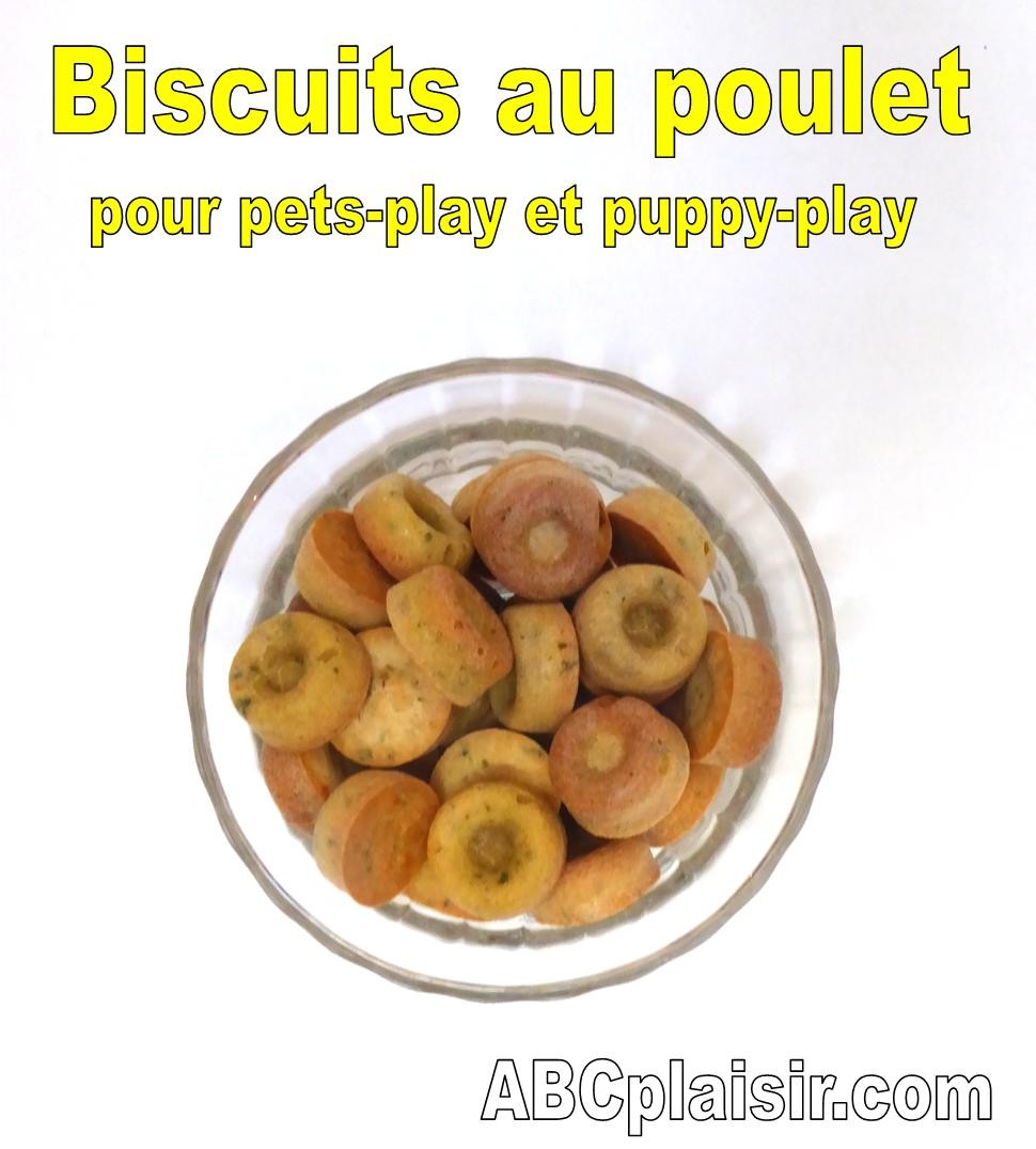 Biscuits pets-play puppy-play 